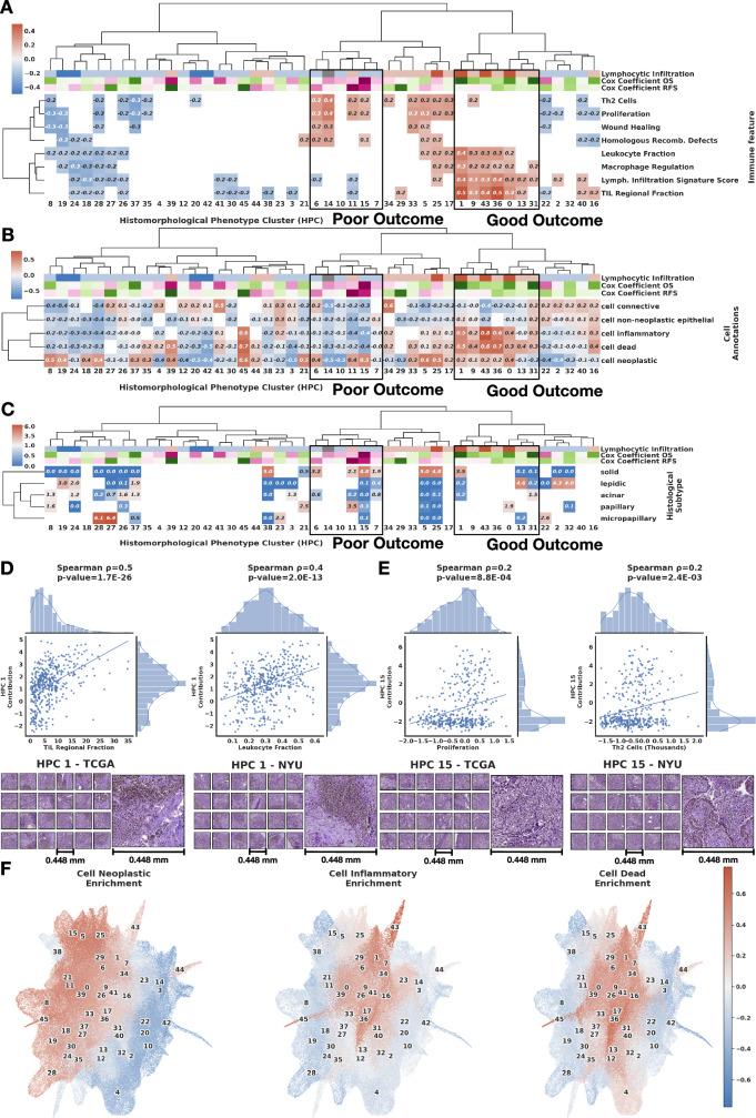 https://cdn.ncbi.nlm.nih.gov/pmc/blobs/a0ce/11525555/e31f6c3d927e/41467_2024_48666_Fig7_HTML.jpg
