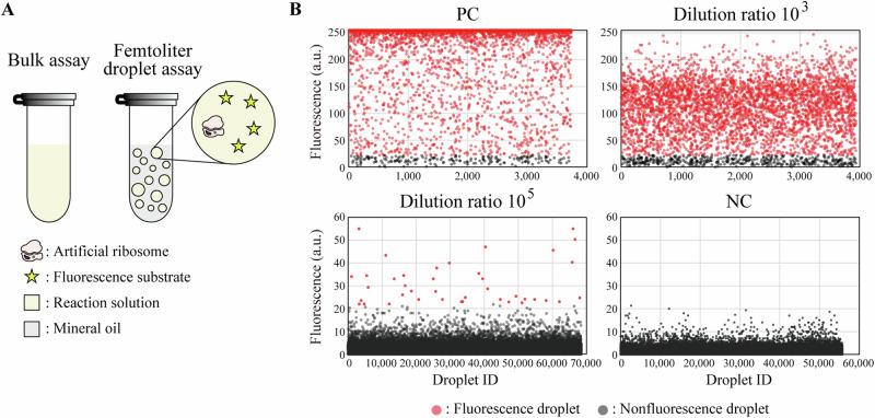 https://cdn.ncbi.nlm.nih.gov/pmc/blobs/a0ce/11711502/80a92fd8c817/41467_2025_55853_Fig2_HTML.jpg