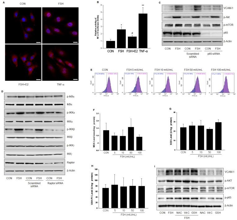 https://cdn.ncbi.nlm.nih.gov/pmc/blobs/a0cf/5706091/0727e5bd0e8e/thnov07p4671g006.jpg