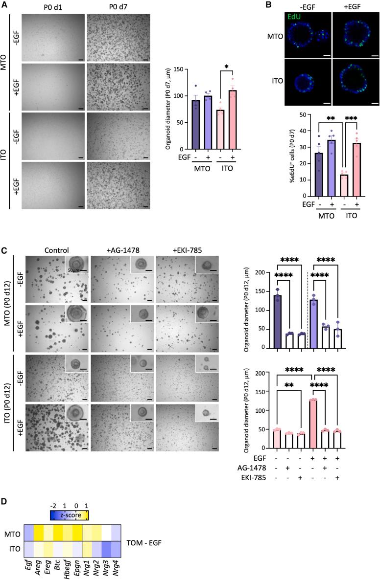 https://cdn.ncbi.nlm.nih.gov/pmc/blobs/a0d1/10202652/6d641de29069/gr2.jpg