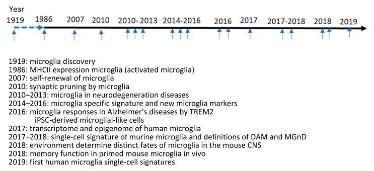 https://cdn.ncbi.nlm.nih.gov/pmc/blobs/a0d3/10295926/11f0b63ea962/biomolecules-13-00922-g001.jpg