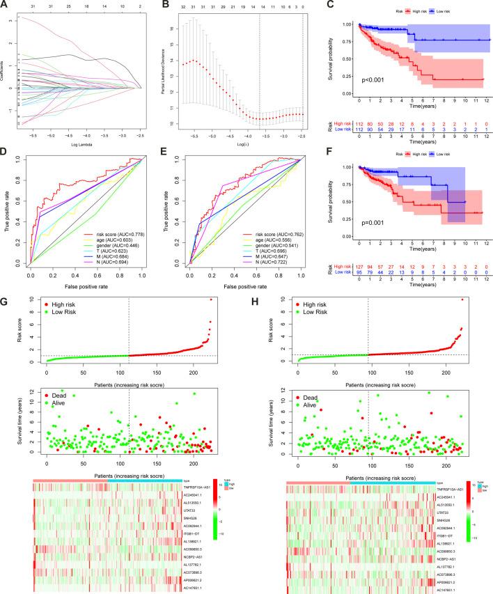 https://cdn.ncbi.nlm.nih.gov/pmc/blobs/a0d3/10313068/7d82c0f96fd3/fgene-14-906346-g004.jpg