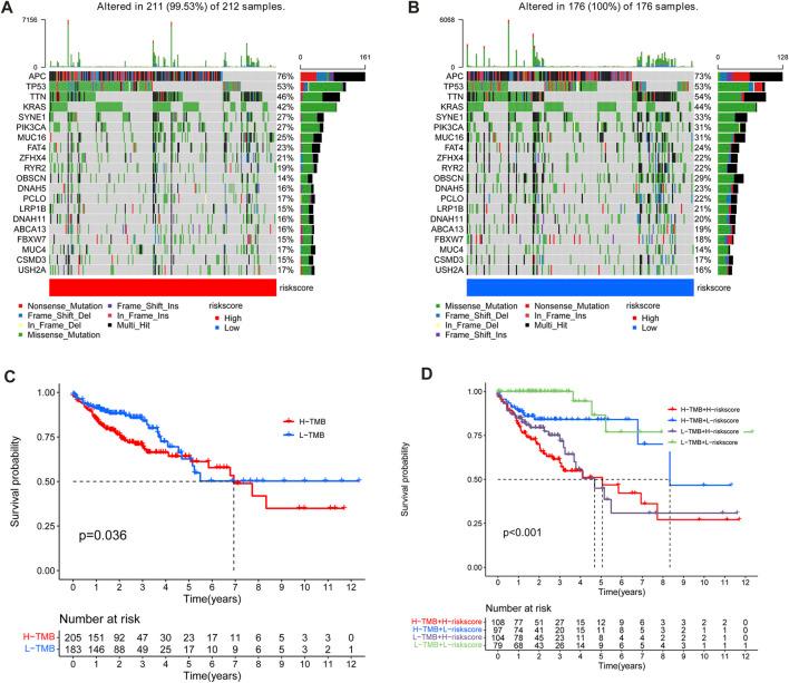 https://cdn.ncbi.nlm.nih.gov/pmc/blobs/a0d3/10313068/9bf44ed53221/fgene-14-906346-g009.jpg