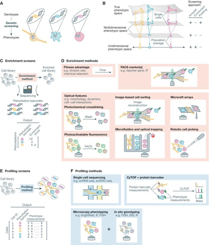 https://cdn.ncbi.nlm.nih.gov/pmc/blobs/a0d3/9650298/518d95c3938d/MSB-18-e10768-g003.jpg