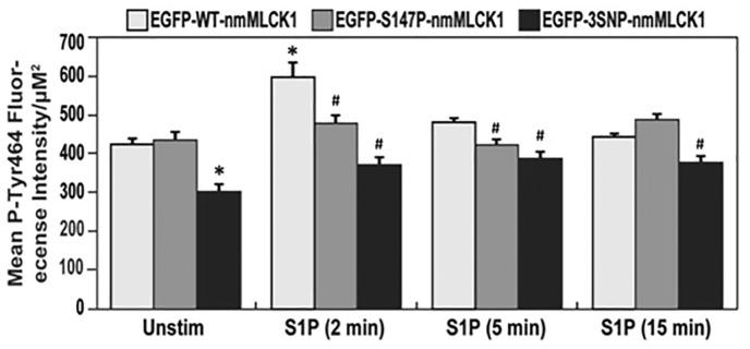 https://cdn.ncbi.nlm.nih.gov/pmc/blobs/a0d5/5846938/c63e99a4a64d/10.1177_2045894018764171-fig2.jpg