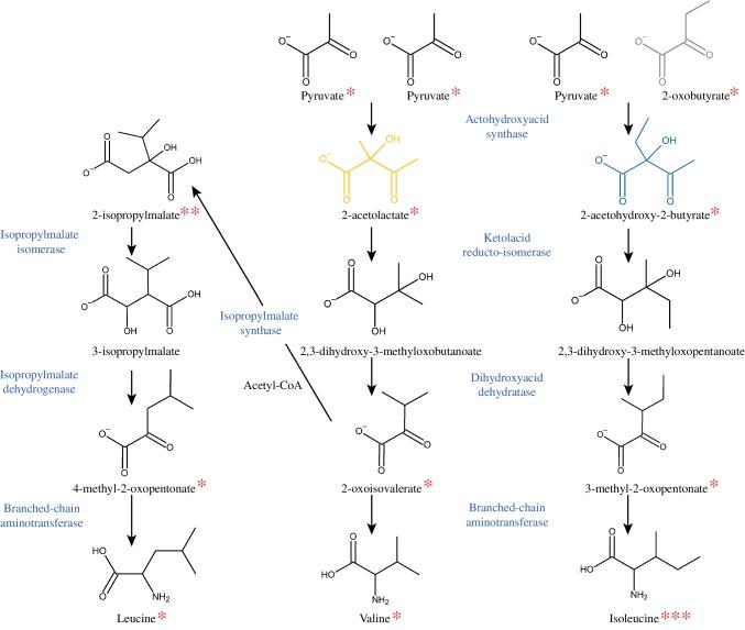 https://cdn.ncbi.nlm.nih.gov/pmc/blobs/a0d6/11579085/7c344842b2b8/216_2024_5613_Fig8_HTML.jpg