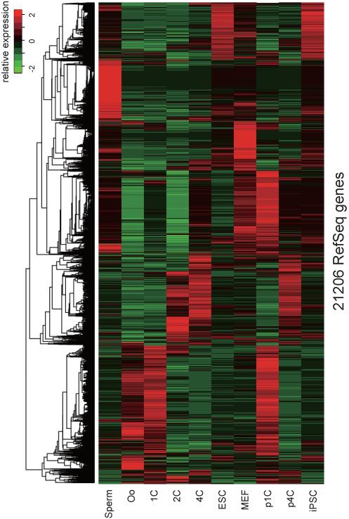 https://cdn.ncbi.nlm.nih.gov/pmc/blobs/a0d7/4383872/47fcb8cf080d/gku1001fig2.jpg