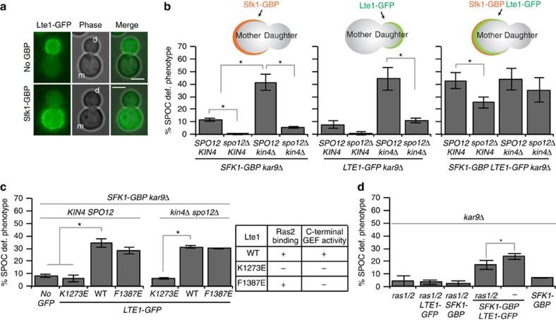 https://cdn.ncbi.nlm.nih.gov/pmc/blobs/a0d8/5286211/3f4d767612ee/ncomms14129-f7.jpg