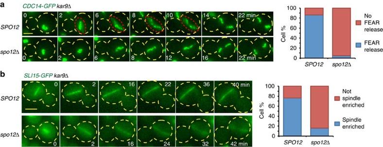 https://cdn.ncbi.nlm.nih.gov/pmc/blobs/a0d8/5286211/64bc4febcb0d/ncomms14129-f3.jpg