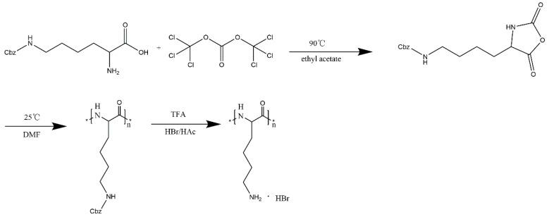 https://cdn.ncbi.nlm.nih.gov/pmc/blobs/a0db/6515188/9ab45f249c31/molecules-24-01477-g005.jpg