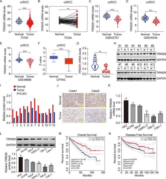 https://cdn.ncbi.nlm.nih.gov/pmc/blobs/a0dd/11110379/510a994f9beb/12967_2024_5273_Fig1_HTML.jpg