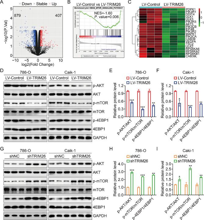 https://cdn.ncbi.nlm.nih.gov/pmc/blobs/a0dd/11110379/5f46eb03787b/12967_2024_5273_Fig4_HTML.jpg