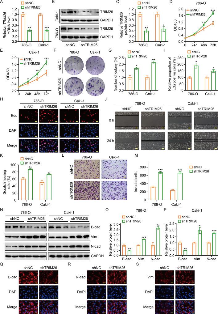 https://cdn.ncbi.nlm.nih.gov/pmc/blobs/a0dd/11110379/c46c217601c0/12967_2024_5273_Fig3_HTML.jpg