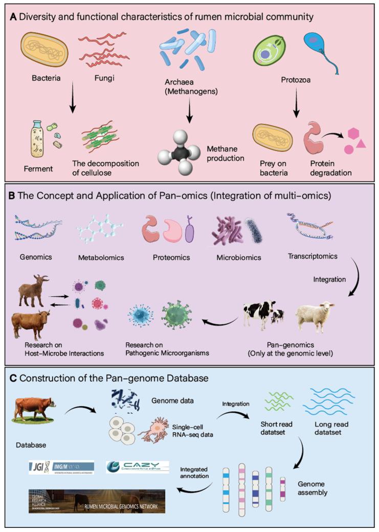 https://cdn.ncbi.nlm.nih.gov/pmc/blobs/a0dd/12195081/fb0d618cf724/microorganisms-13-01175-g001.jpg