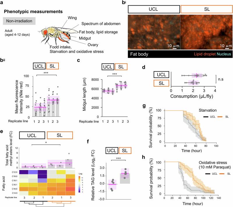 https://cdn.ncbi.nlm.nih.gov/pmc/blobs/a0dd/12234734/0f5fd75fc5ef/42003_2025_8348_Fig4_HTML.jpg