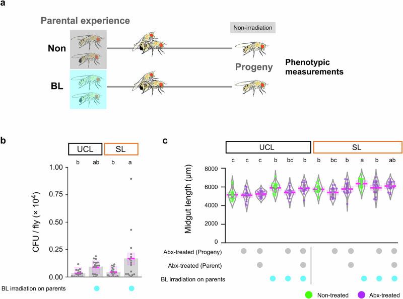 https://cdn.ncbi.nlm.nih.gov/pmc/blobs/a0dd/12234734/d53215161242/42003_2025_8348_Fig6_HTML.jpg