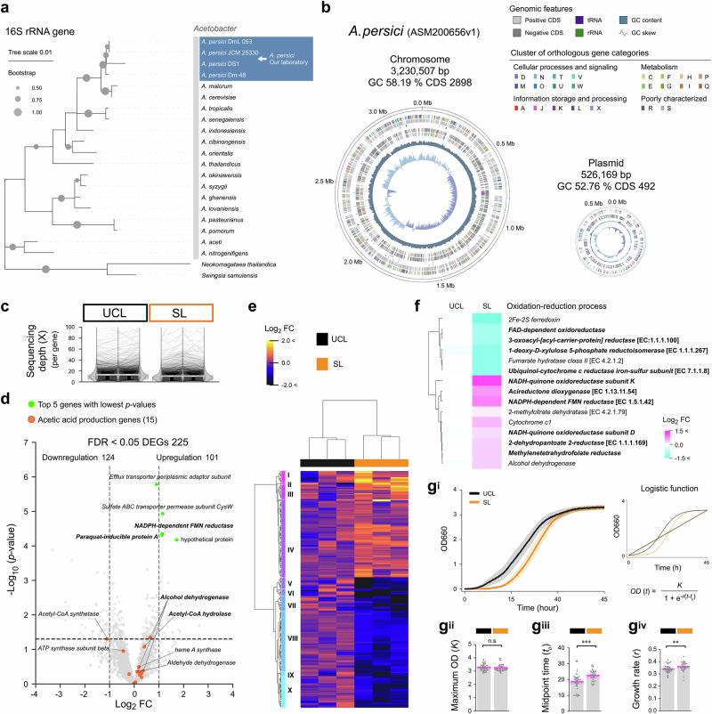 https://cdn.ncbi.nlm.nih.gov/pmc/blobs/a0dd/12234734/dbca6aa7b21e/42003_2025_8348_Fig10_HTML.jpg