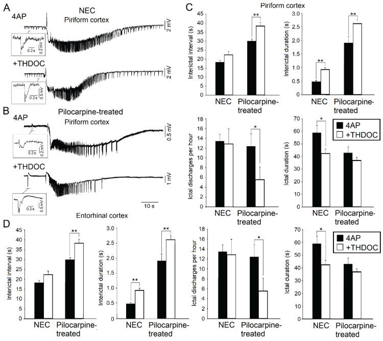 https://cdn.ncbi.nlm.nih.gov/pmc/blobs/a0de/7763947/5693d520bf20/ijms-21-09391-g002.jpg