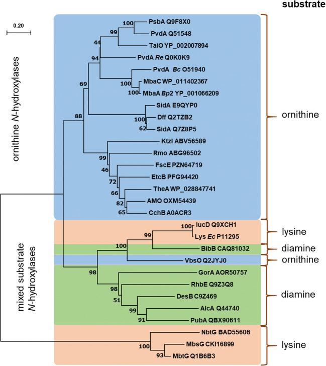 https://cdn.ncbi.nlm.nih.gov/pmc/blobs/a0e0/7347517/280376767b25/253_2020_10705_Fig4_HTML.jpg