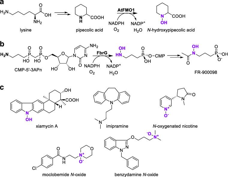 https://cdn.ncbi.nlm.nih.gov/pmc/blobs/a0e0/7347517/523780501a70/253_2020_10705_Fig5_HTML.jpg