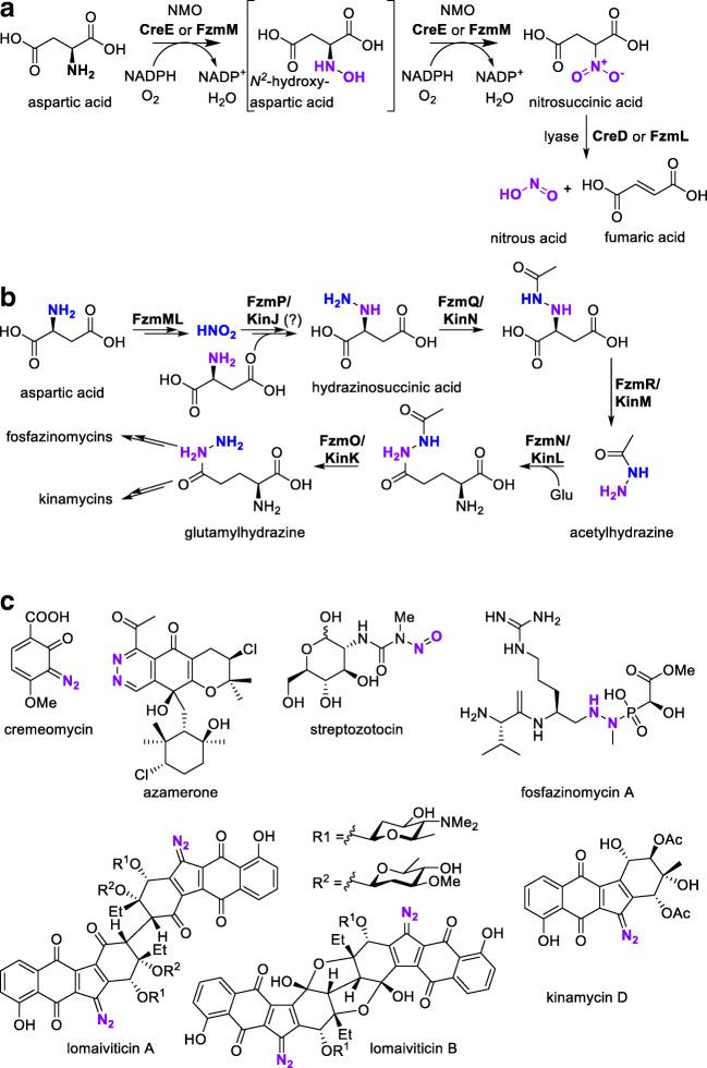 https://cdn.ncbi.nlm.nih.gov/pmc/blobs/a0e0/7347517/88d1a9cd7457/253_2020_10705_Fig6_HTML.jpg