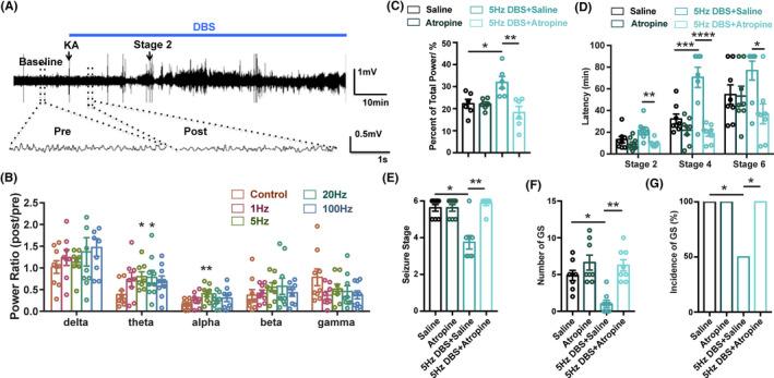 https://cdn.ncbi.nlm.nih.gov/pmc/blobs/a0e0/8025637/f5e7631650c2/CNS-27-577-g001.jpg