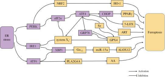 https://cdn.ncbi.nlm.nih.gov/pmc/blobs/a0e3/10581588/0e64f8679473/NRR-19-611-g002.jpg