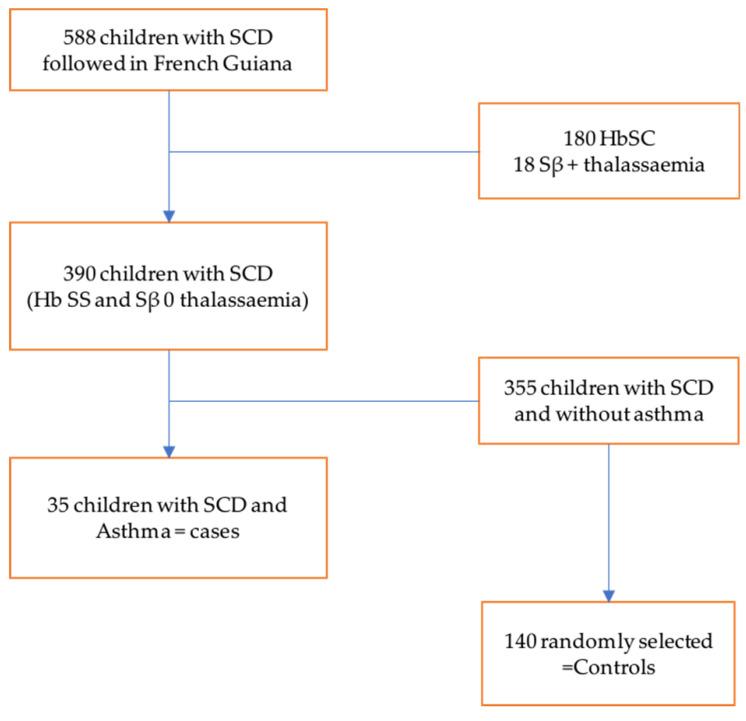 https://cdn.ncbi.nlm.nih.gov/pmc/blobs/a0e3/11727086/16d278a1826d/children-11-01541-g001.jpg