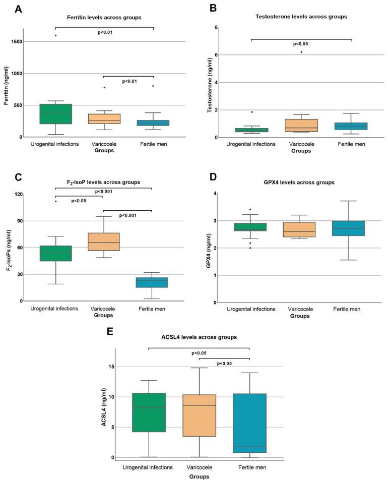 https://cdn.ncbi.nlm.nih.gov/pmc/blobs/a0e4/11394366/768c492ae7b1/cells-13-01490-g001.jpg