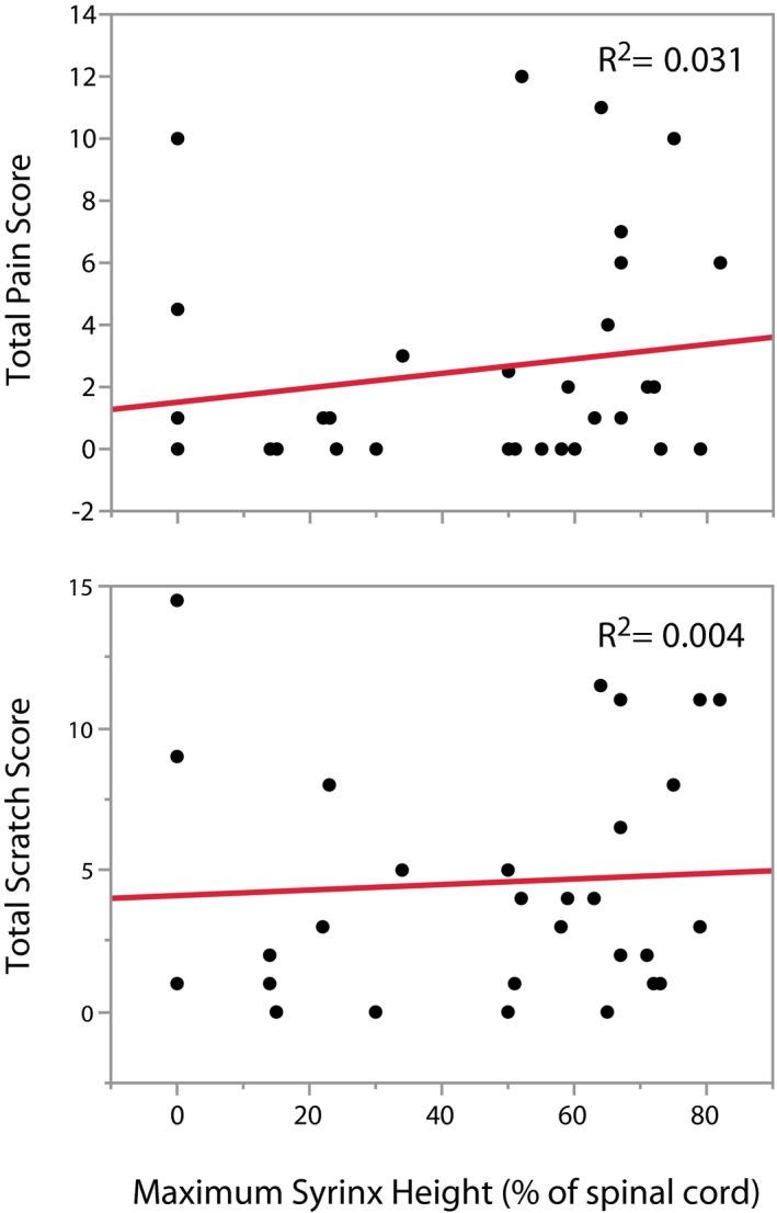 https://cdn.ncbi.nlm.nih.gov/pmc/blobs/a0e4/5787193/c4d236a89cba/JVIM-32-331-g003.jpg
