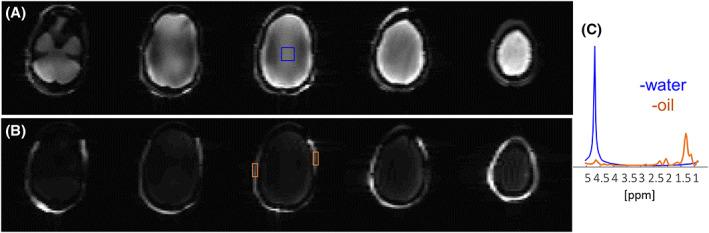 https://cdn.ncbi.nlm.nih.gov/pmc/blobs/a0e4/7757235/cb9c827e8292/NBM-34-e4421-g006.jpg