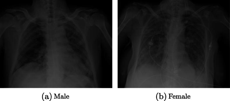 https://cdn.ncbi.nlm.nih.gov/pmc/blobs/a0e4/9047303/248ecb371532/12874_2022_1578_Fig5_HTML.jpg