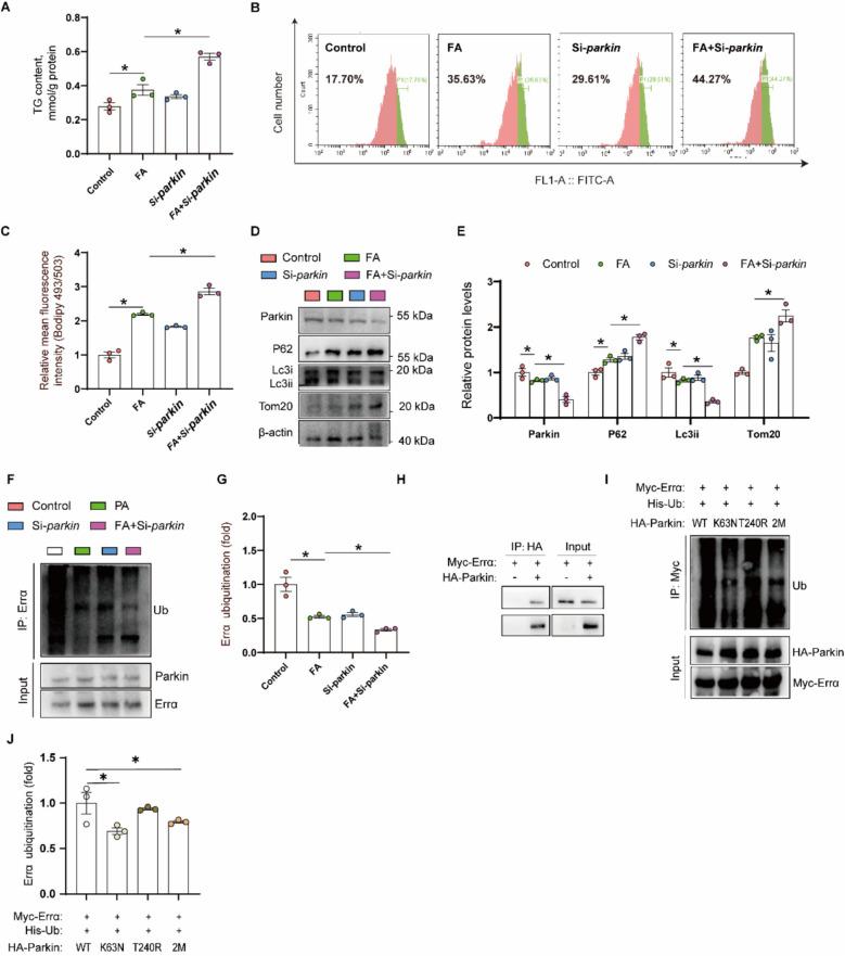 https://cdn.ncbi.nlm.nih.gov/pmc/blobs/a0e5/12093751/27351ff1008a/40104_2025_1200_Fig6_HTML.jpg