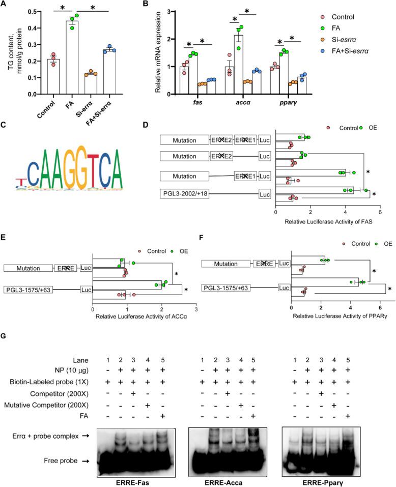 https://cdn.ncbi.nlm.nih.gov/pmc/blobs/a0e5/12093751/62fd86477493/40104_2025_1200_Fig7_HTML.jpg