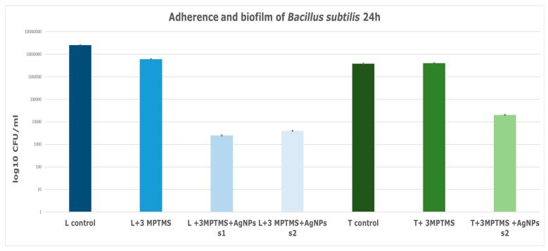 https://cdn.ncbi.nlm.nih.gov/pmc/blobs/a0e6/10780400/0b88603c936a/nanomaterials-14-00068-g011.jpg