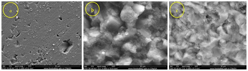 https://cdn.ncbi.nlm.nih.gov/pmc/blobs/a0e6/10780400/1c6baea481c8/nanomaterials-14-00068-g007.jpg