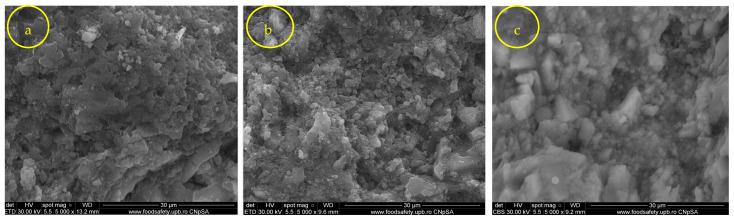 https://cdn.ncbi.nlm.nih.gov/pmc/blobs/a0e6/10780400/db2187b02ca5/nanomaterials-14-00068-g008.jpg
