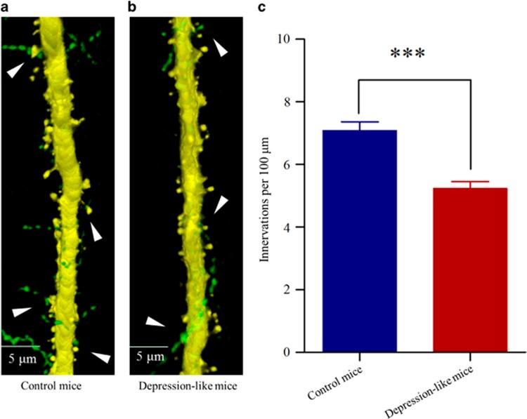 https://cdn.ncbi.nlm.nih.gov/pmc/blobs/a0e6/5315548/445f7993fa13/tp2016181f2.jpg