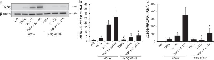 https://cdn.ncbi.nlm.nih.gov/pmc/blobs/a0e6/9366697/96028645c471/ActaDV-101-2-1033-g003.jpg