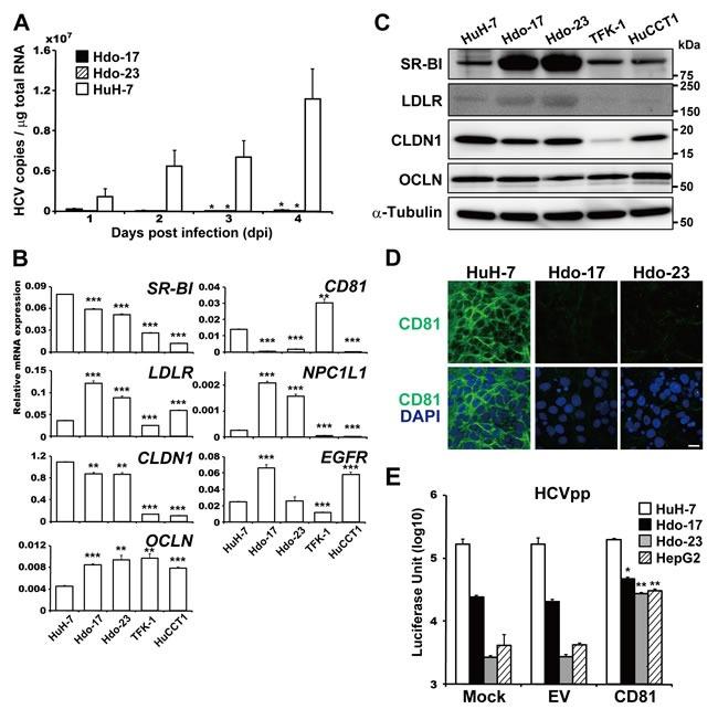 https://cdn.ncbi.nlm.nih.gov/pmc/blobs/a0e7/5589550/f4c26b6de0ed/oncotarget-08-53899-g003.jpg