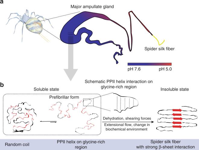 https://cdn.ncbi.nlm.nih.gov/pmc/blobs/a0e7/5974136/2608690fe03a/41467_2018_4570_Fig5_HTML.jpg