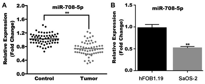 https://cdn.ncbi.nlm.nih.gov/pmc/blobs/a0e7/6364217/437326825365/etm-17-03-2235-g00.jpg