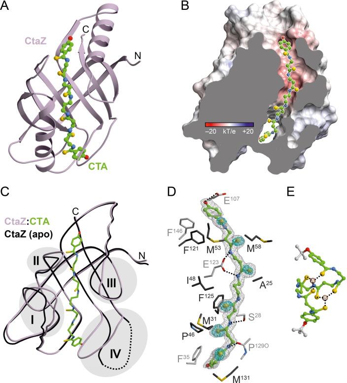 https://cdn.ncbi.nlm.nih.gov/pmc/blobs/a0e8/9545259/13e4e1deb3ae/ANIE-61-0-g003.jpg