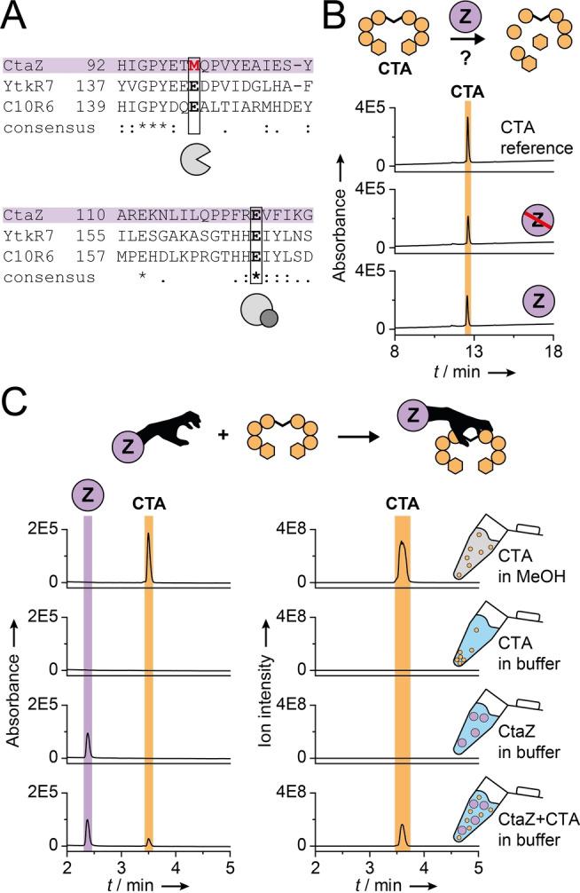 https://cdn.ncbi.nlm.nih.gov/pmc/blobs/a0e8/9545259/b6c0183d2e3a/ANIE-61-0-g006.jpg