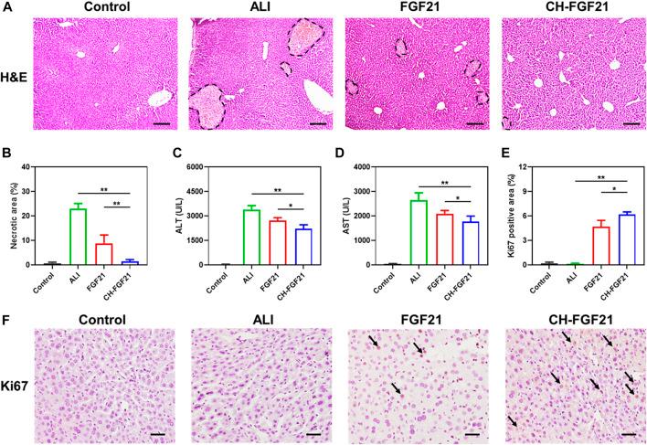 https://cdn.ncbi.nlm.nih.gov/pmc/blobs/a0e9/9871310/337a6ff6bff1/fphar-13-1084799-g005.jpg