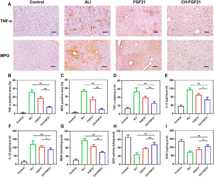 https://cdn.ncbi.nlm.nih.gov/pmc/blobs/a0e9/9871310/5616147922a0/fphar-13-1084799-g006.jpg