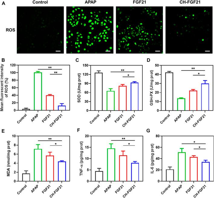 https://cdn.ncbi.nlm.nih.gov/pmc/blobs/a0e9/9871310/7ad968be0938/fphar-13-1084799-g003.jpg