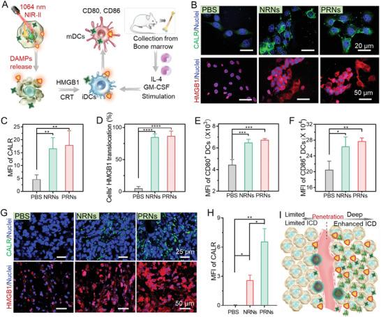 https://cdn.ncbi.nlm.nih.gov/pmc/blobs/a0ea/9661837/2c131a170f71/ADVS-9-2204067-g003.jpg