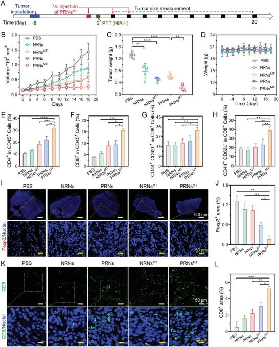 https://cdn.ncbi.nlm.nih.gov/pmc/blobs/a0ea/9661837/37fbc81a9f7a/ADVS-9-2204067-g005.jpg