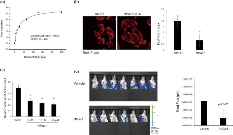 https://cdn.ncbi.nlm.nih.gov/pmc/blobs/a0eb/8080780/92b21912e710/12276_2021_575_Fig4_HTML.jpg